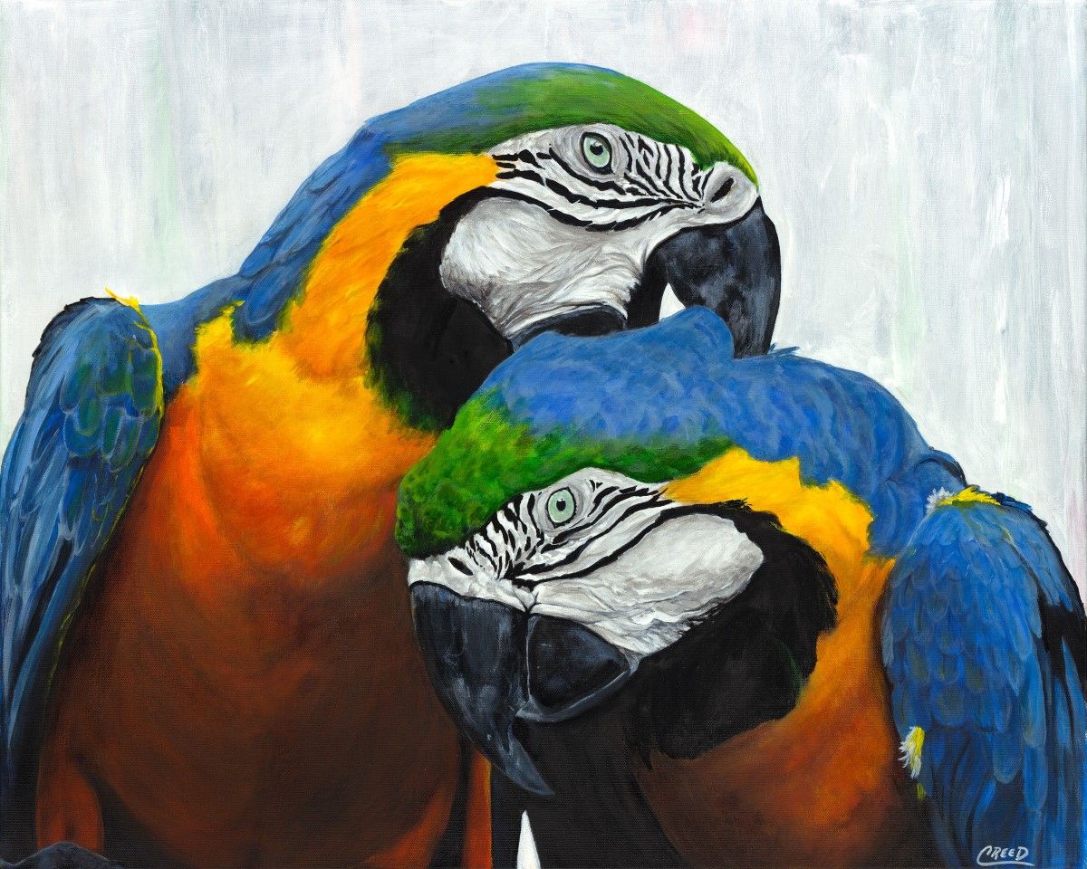 2 Parrots Orig LowRes