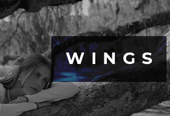 670277738 wings Jaro Media